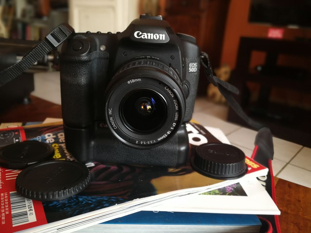 Canon EOS 50 D 250 Menucourt (95)