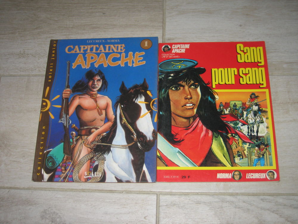 lot 2 bd CAPITAINE APACHE lecurieux 15 C�zy (89)