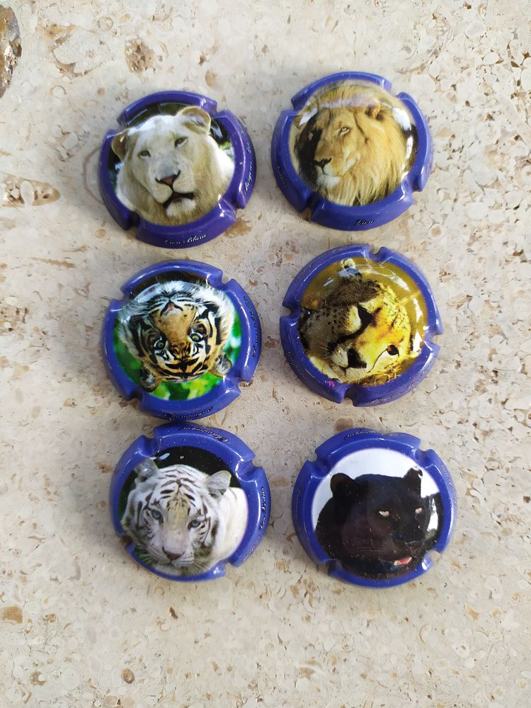 Capsules de Champagne 0 Pasly (02)