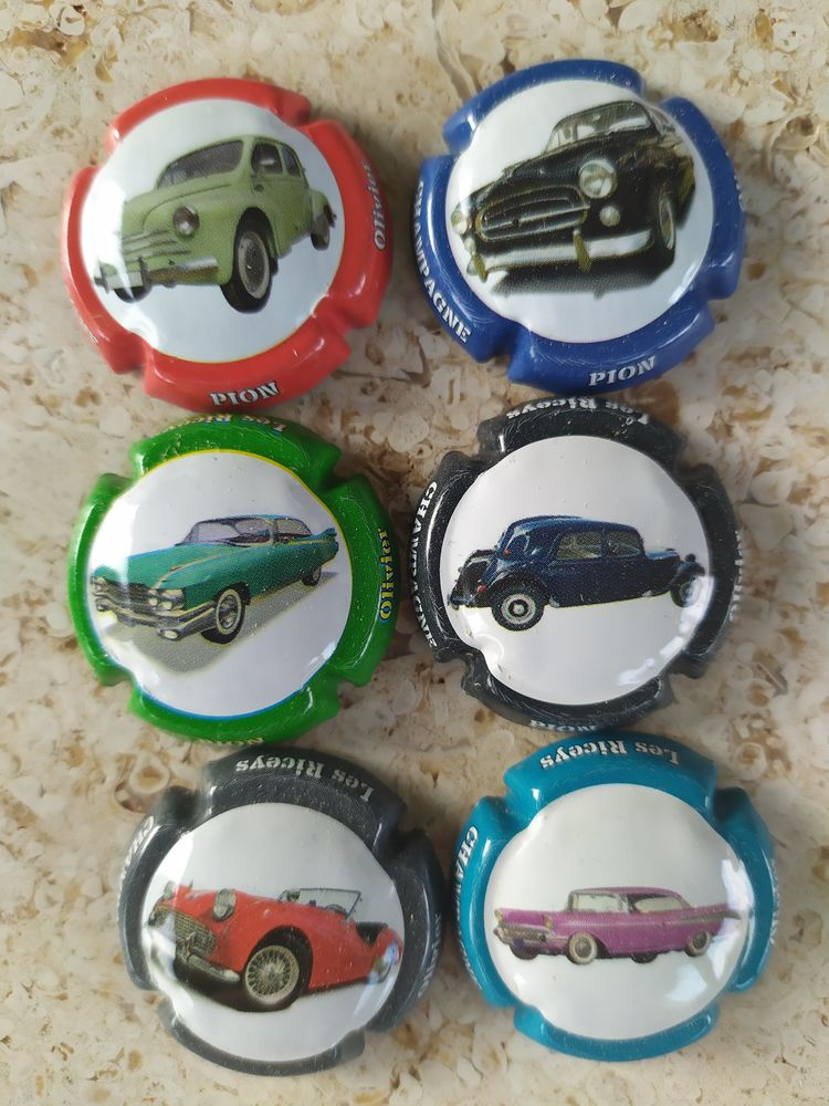 Capsules de Champagne 0 Pasly (02)