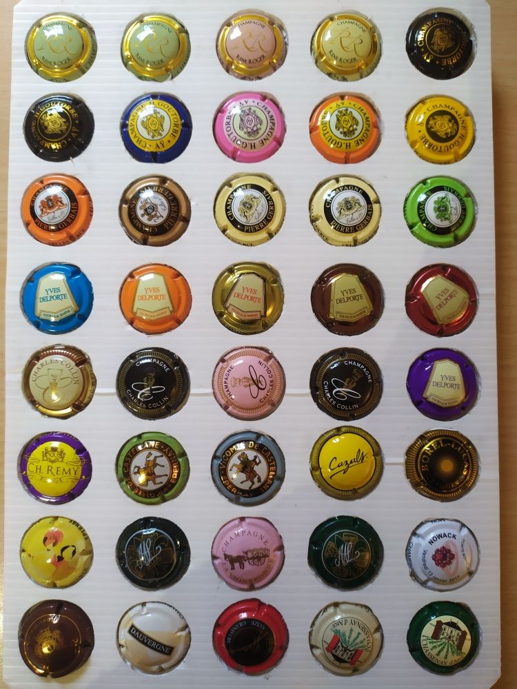 capsules de Champagne 1 Pasly (02)