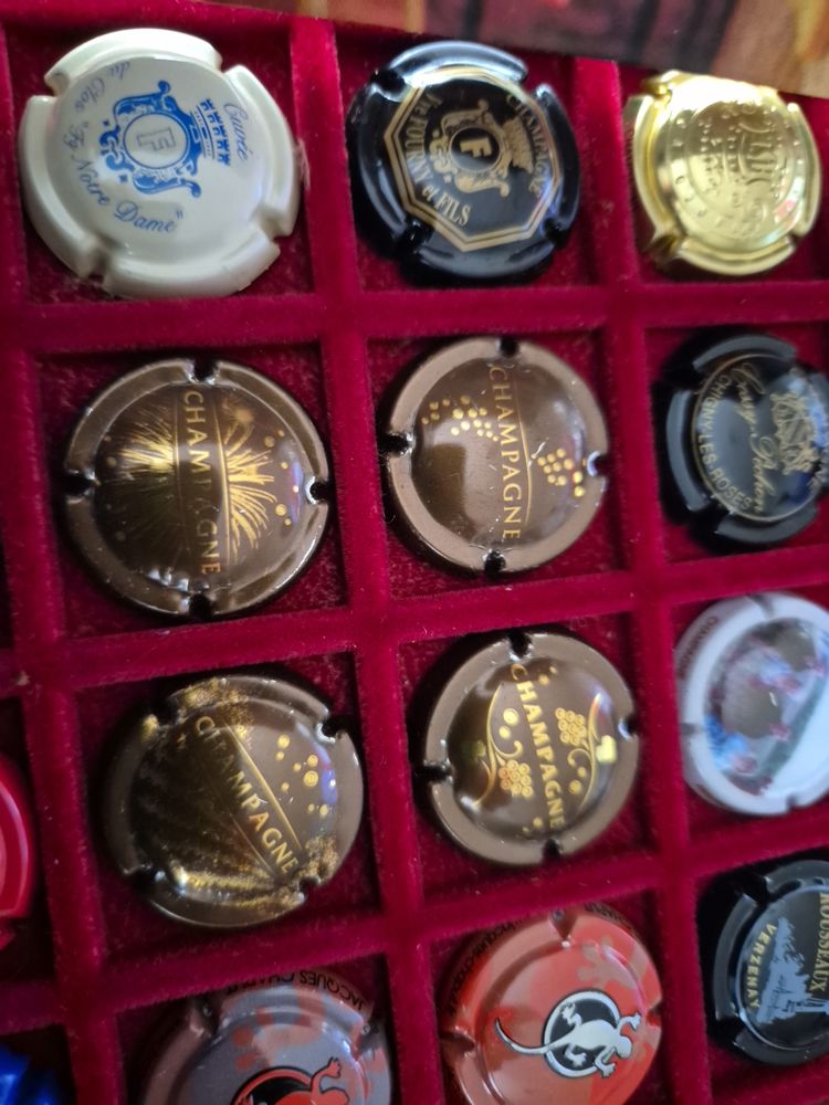 Capsules de champagne 12 Vrigny (51)