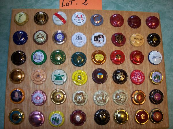Lot n° 2 de 48 capsules de collection champagne 19 Richemont (57)