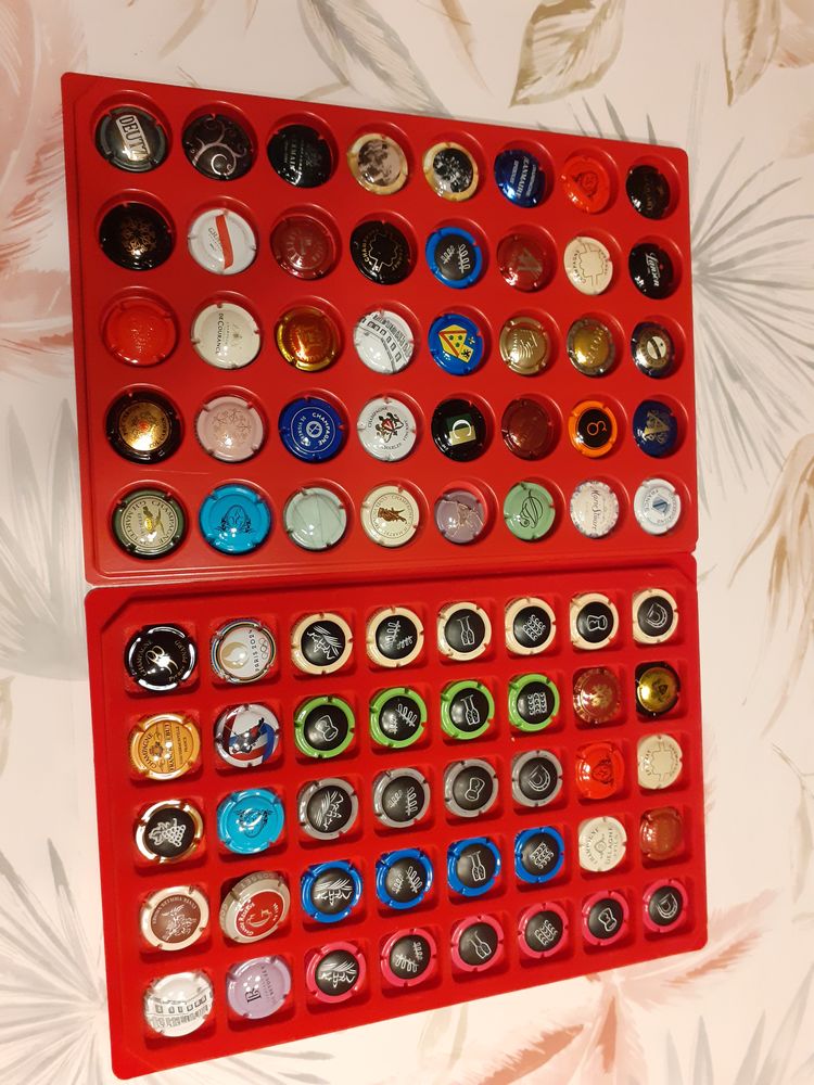 CAPSULES 1 Fagni�res (51)