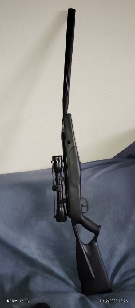 carabine � plombs sans d�claration en pr�fecture 160 Lesparre-M�doc (33)