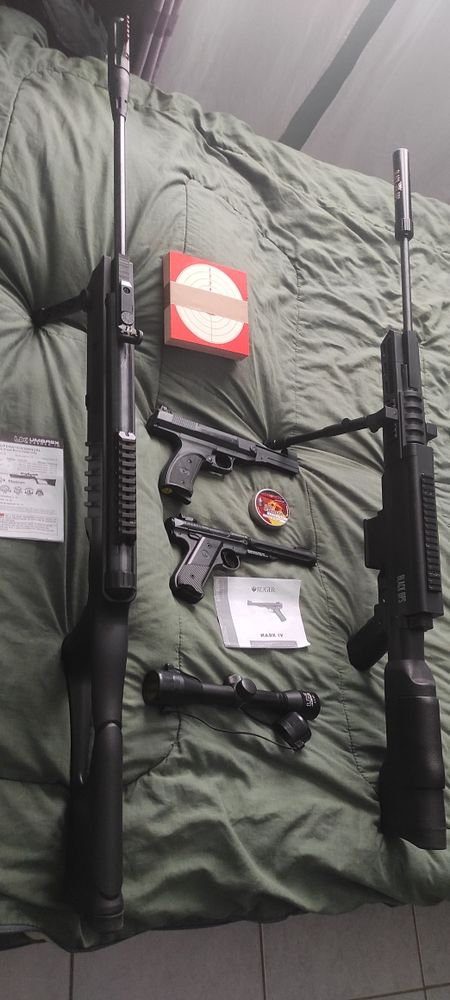 carabines et pistolet air comprimé à plombs 380 Toulouse (31)