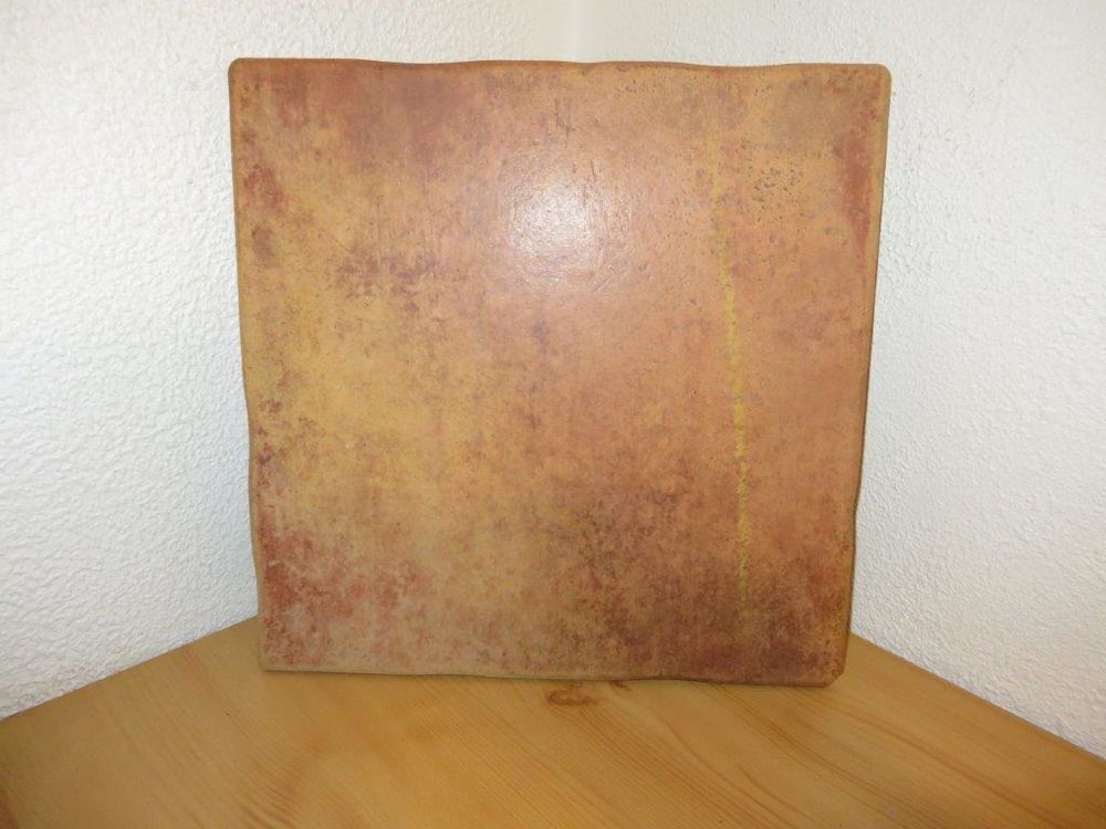 4 m2 de carreaux gr�s c�ram 20x20 50 Laire (25)