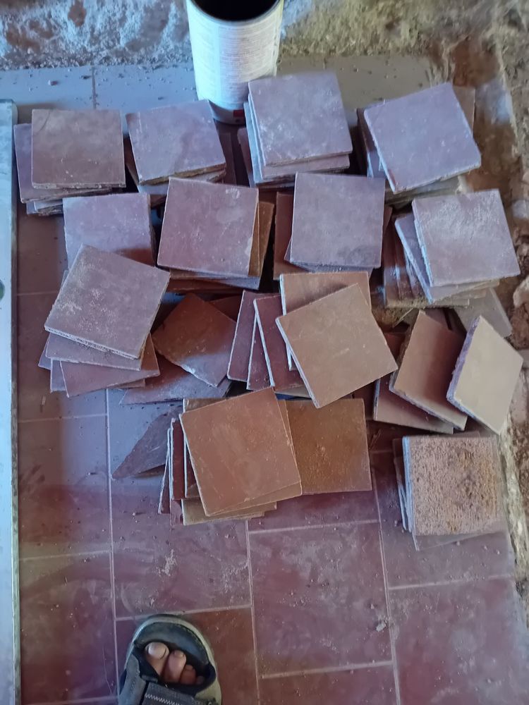 Carreaux tommettes 1 Brassy (58)