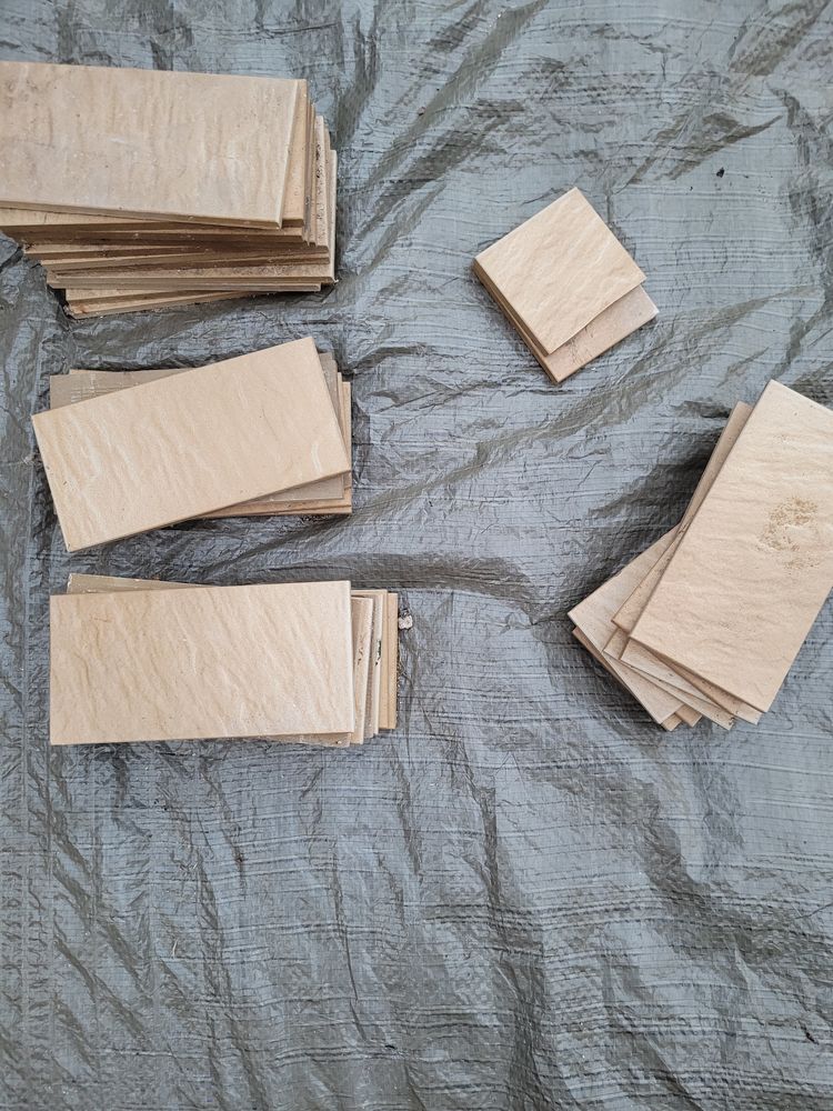 CARRELAGE PALISSY 1 Th�s�e (41)