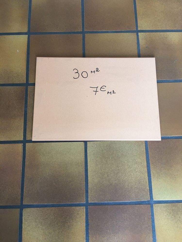 Carrelage salle de bain couleur p�che 45x32    30 m 2 150 Saint-Pierre-de-B�uf (42)