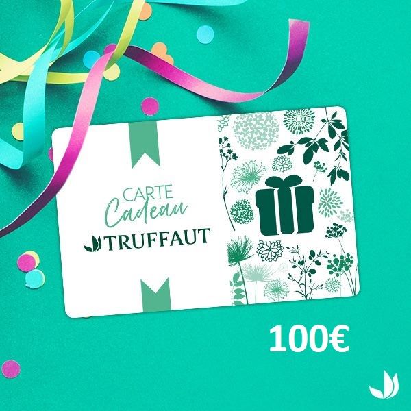 1 carte cadeau TRUFFAUT de 100 EUROS 79 Tosse (40)