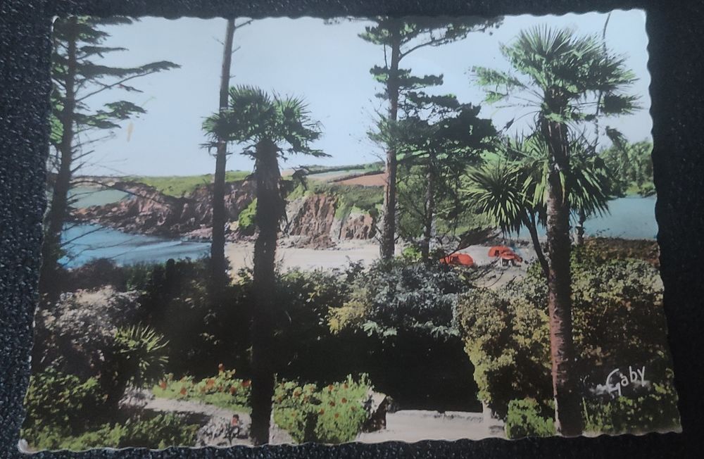 Carte postale ancienne 5 Cannes (06)
