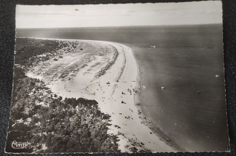 Carte postale ancienne 5 Cannes (06)