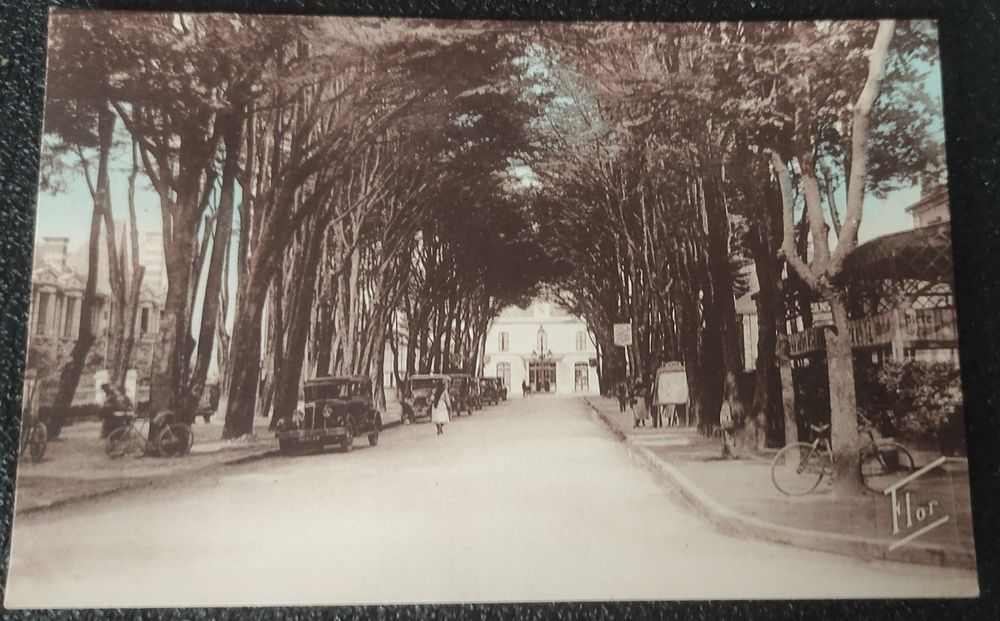 Carte postale ancienne 6 Cannes (06)