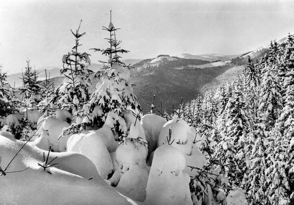 CPA - Carte postale -France - 
VOSGES 1 Caumont (09)