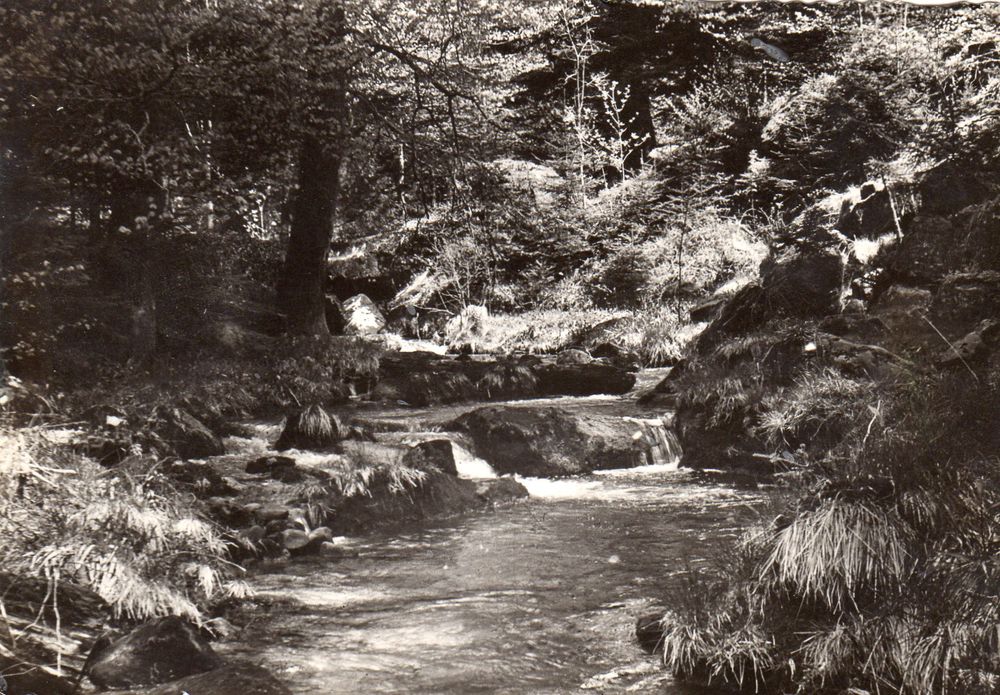 CPA - Carte postale -France - 
VOSGES 1 Caumont (09)