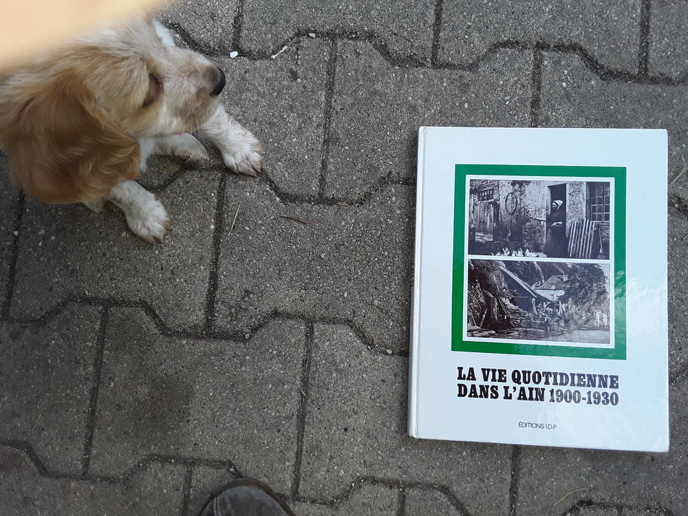 carte postale ain livre 200 foto 9 Neuville-sur-Ain (01)