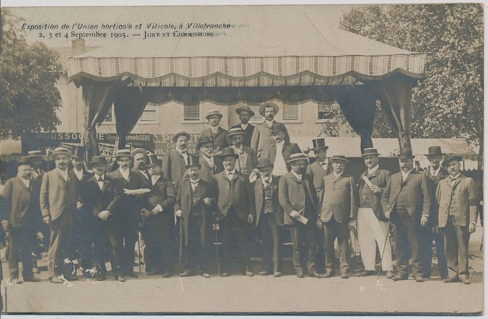 Carte Postale Villefranche sur Saone Exposition Horticole 60 Villefranche-sur-Sa�ne (69)