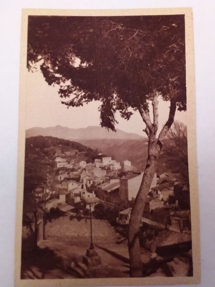 Carte postales ancienne Departement 06 3 Lisieux (14)