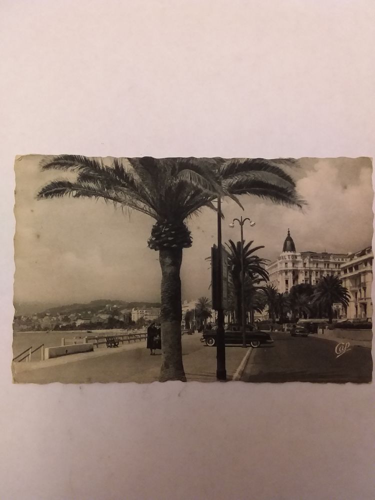 Carte postales semis moderne Departement 06 3 Lisieux (14)