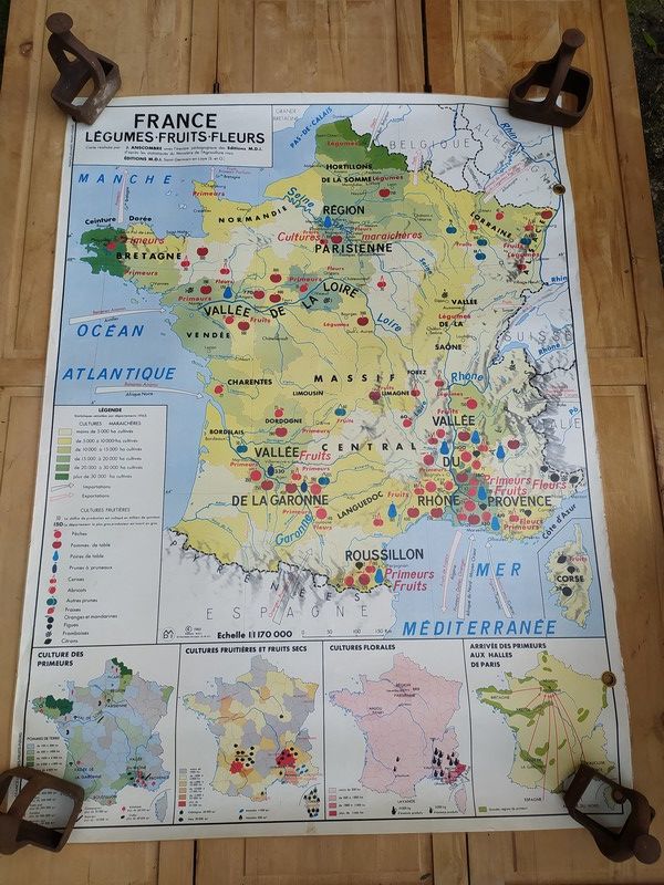 Carte Scolaire France L�gumes Fruits Fleurs / Cultures Indus 100 Loches (37)