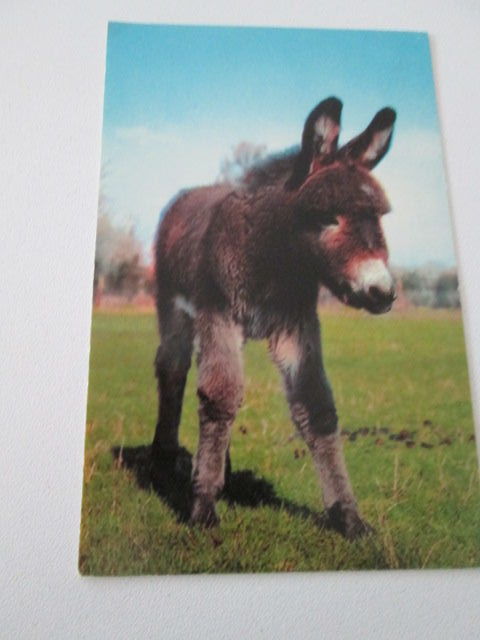 CARTE ANE 2 Saran (45)