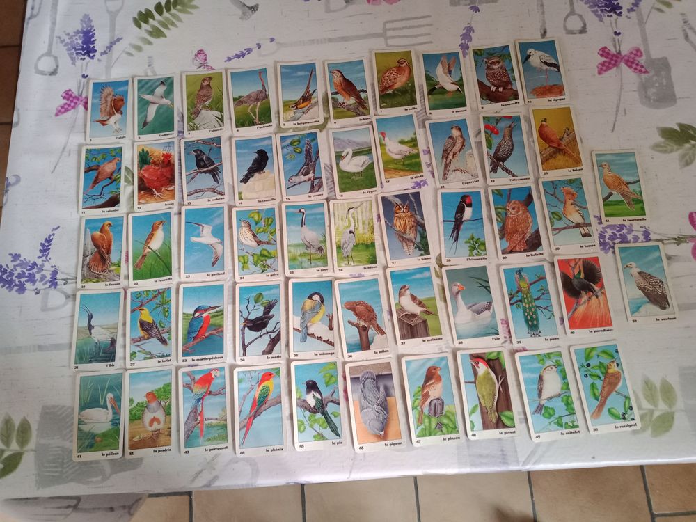 52 cartes anciennes (�ducatives ?) oiseaux 15 Oroux (79)