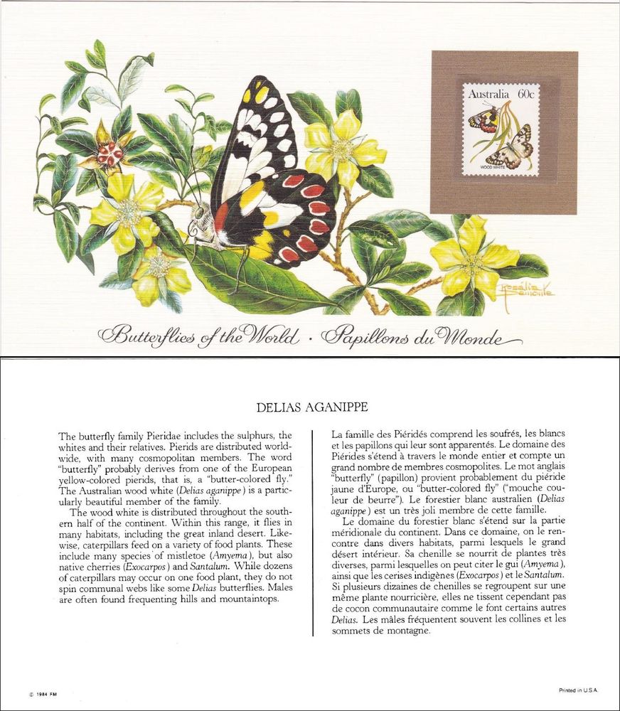 3 CARTES  PAPILLONS DU MONDE  timbre AUSTRALIE (lot 3) 12 Les �glisottes-et-Chalaures (33)