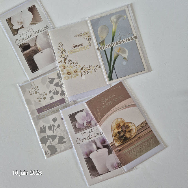 Lot de 6 cartes postales de condol�ances neuves bien s�r ! 8 Saumur (49)