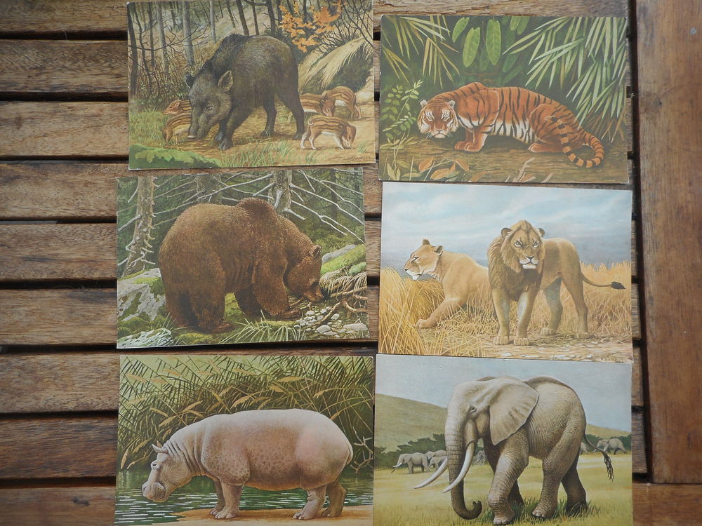 Lot de 9 cartes postales Paul Barruel  Mammif�res  9 Nieuil-l'Espoir (86)