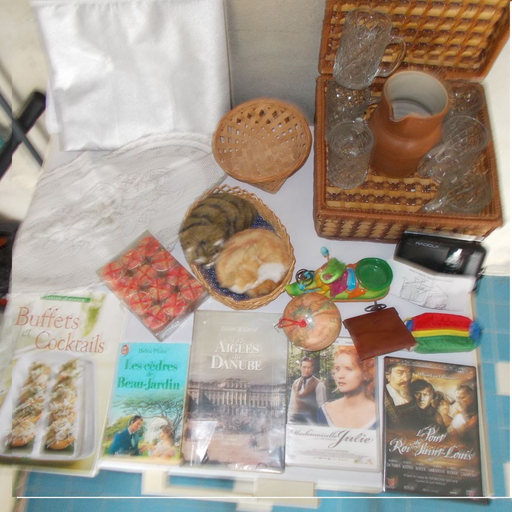 CARTON DE DIVERS OBJETS 8 Chartres (28)