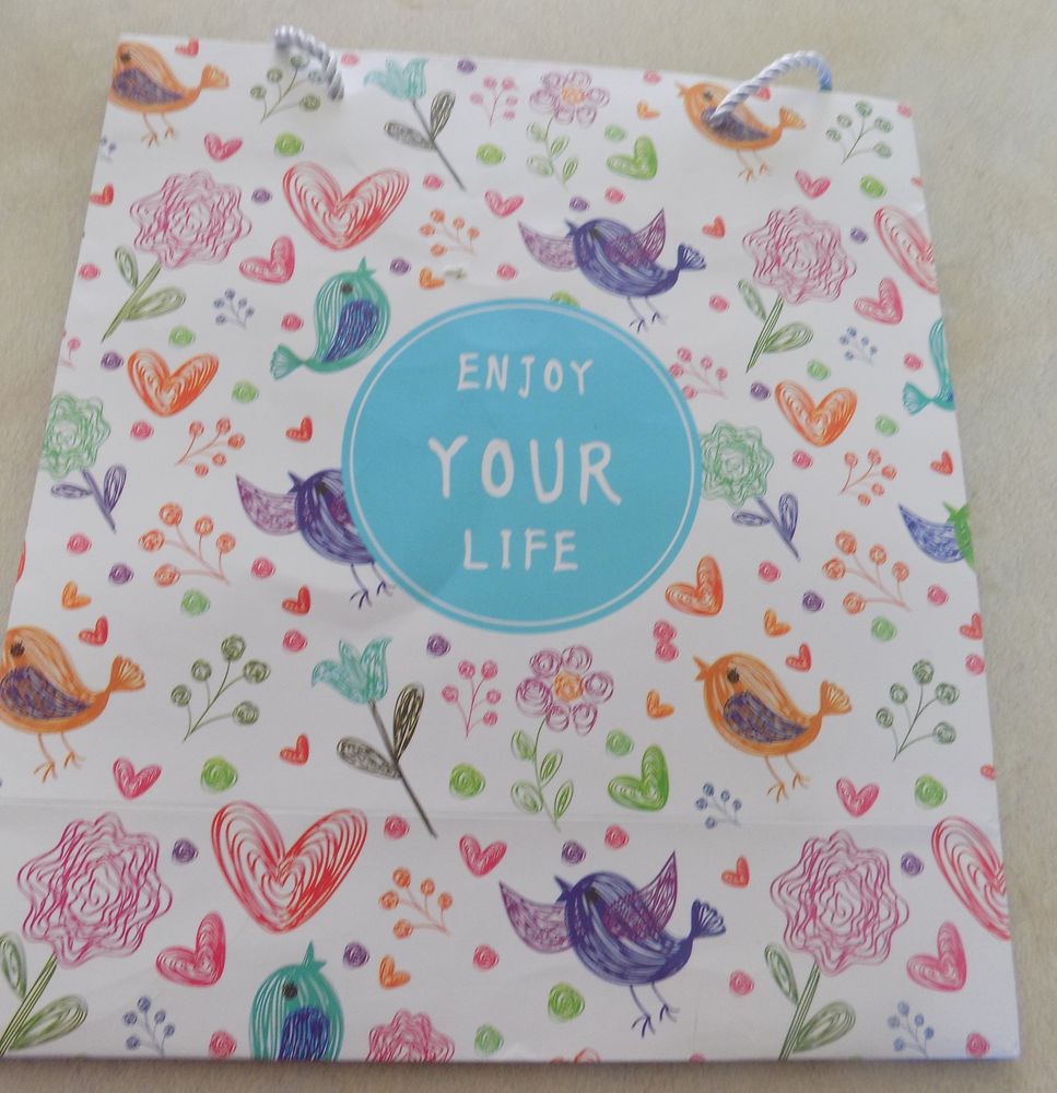 Sac cartonn� 1 La Motte-d'Aveillans (38)