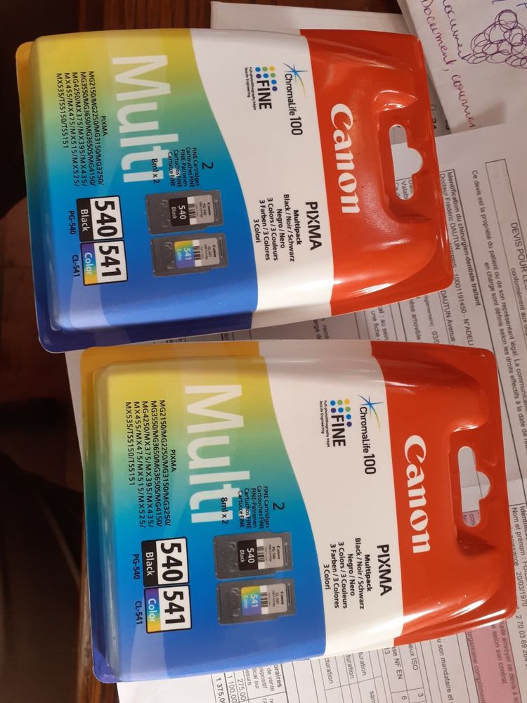 lot de 2 cartouches d'encre canon pixma 540-541 80 Fleurie (69)