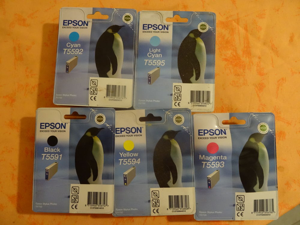 Cartouches EPSON T5591, 2, 3, 4, 5 5 Lab�ge (31)