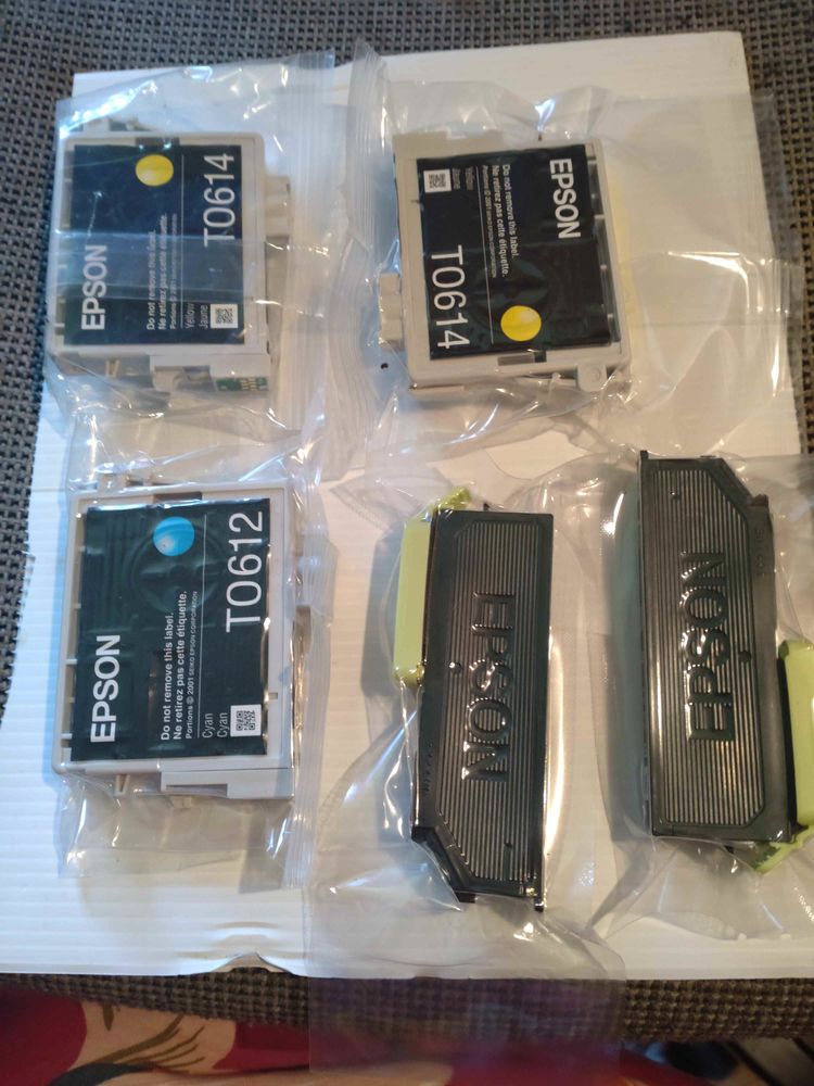 Lot de 5 Cartouches EPSON 10 Laval (53)