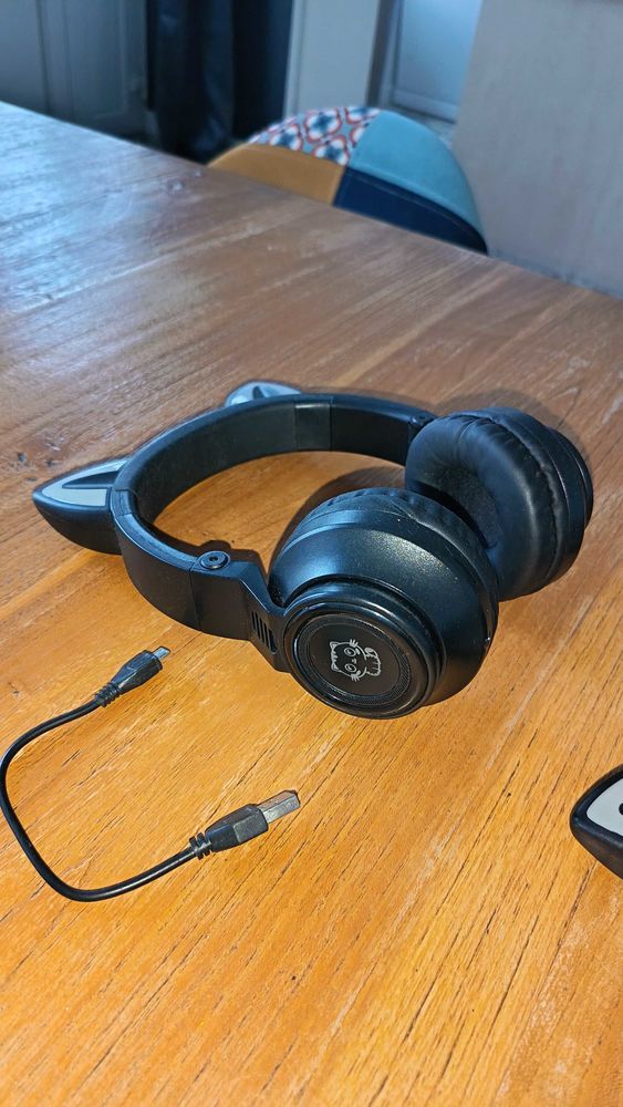 2+Casques+bluetooth 20 Saint-Georges-des-Groseillers (61)
