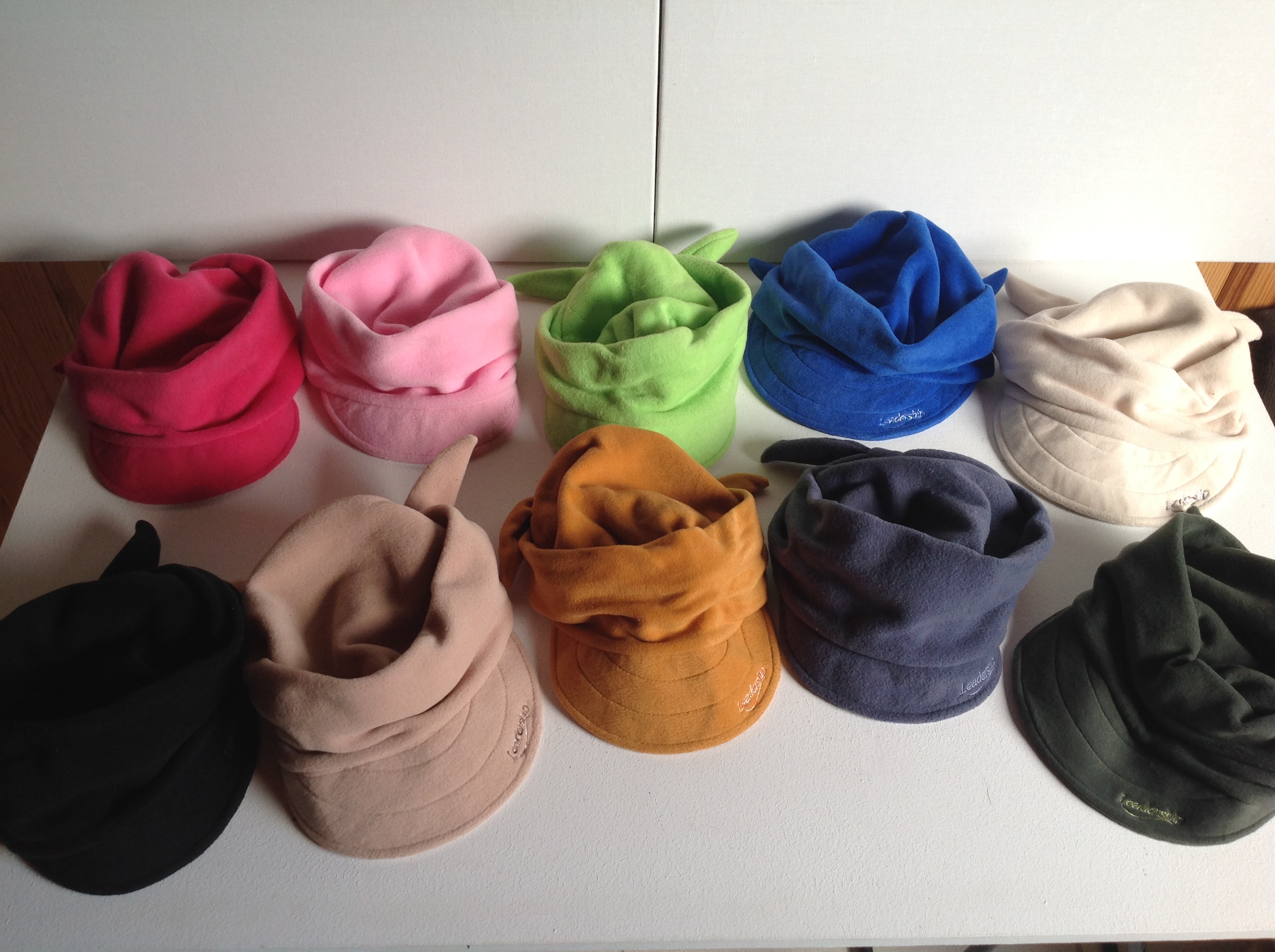 DIX CASQUETTES POLAIRES LEADERSHIP Envoi Possible
45 Tr�gunc (29)