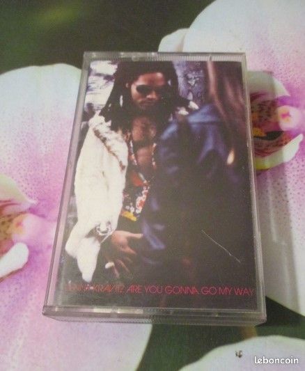 Cassette audio Lenny Kravitz 4 H�rouville-Saint-Clair (14)