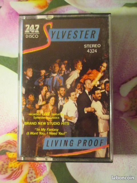 Cassette audio Sylvester Label 747 Disco 4 Hérouville-Saint-Clair (14)