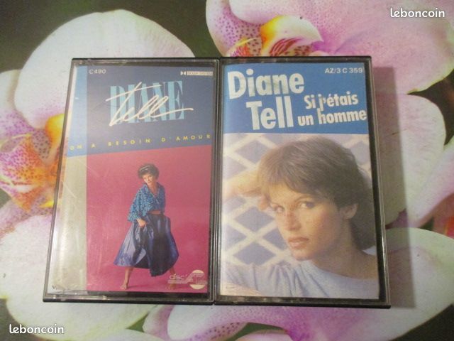 Cassettes audio Diane Tell 0 H�rouville-Saint-Clair (14)