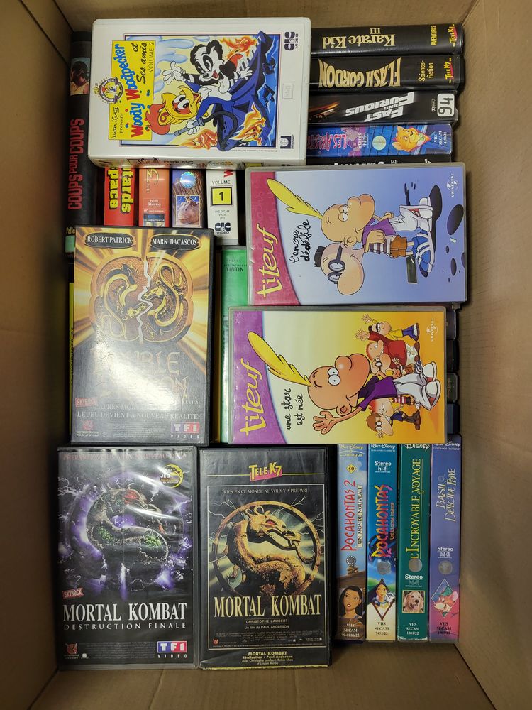 Cassettes  vid�o disney 35 Montastruc (82)