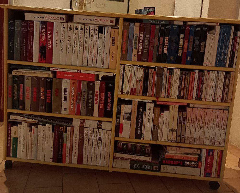 Cause d�m�nagement �tag�re biblioth�que double face 110 Arles (13)