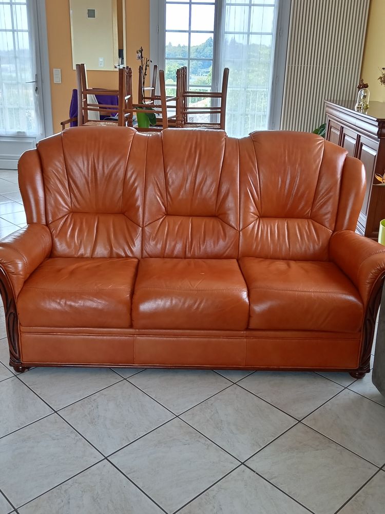 cause double emploi 2 canap�s 500 Chambretaud (85)