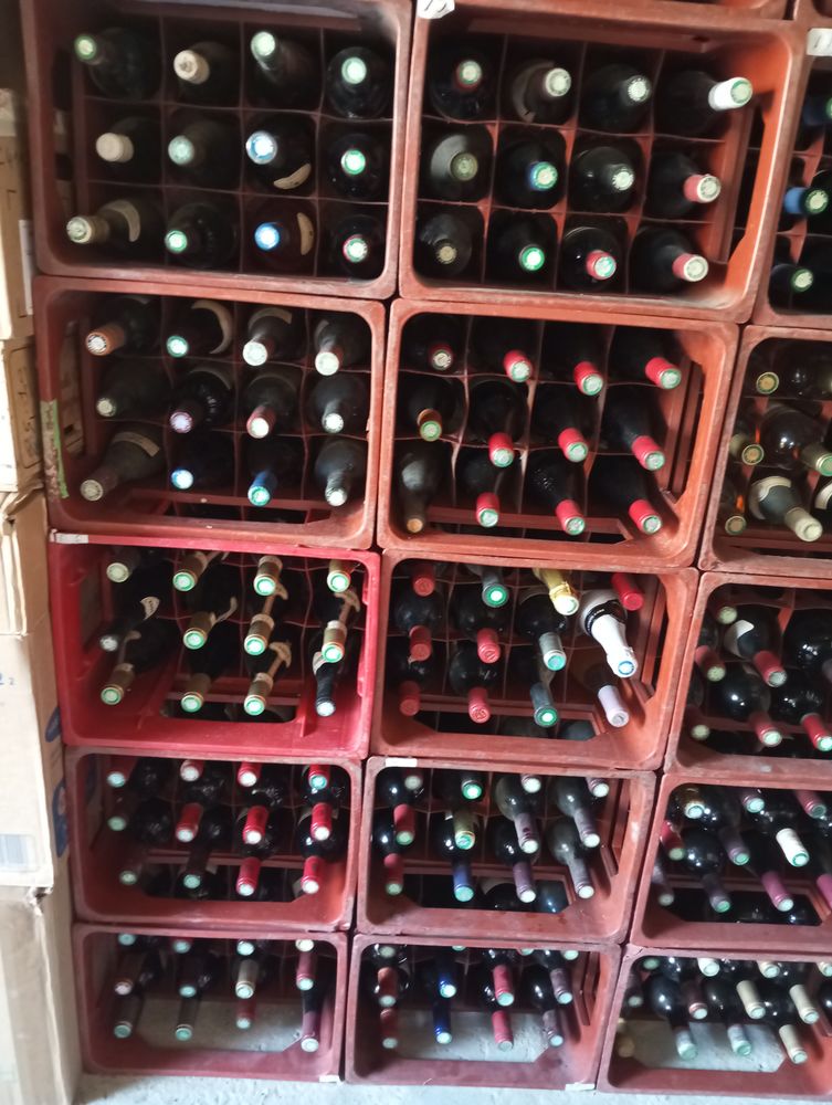 Cave a vin 0 La Loupe (28)