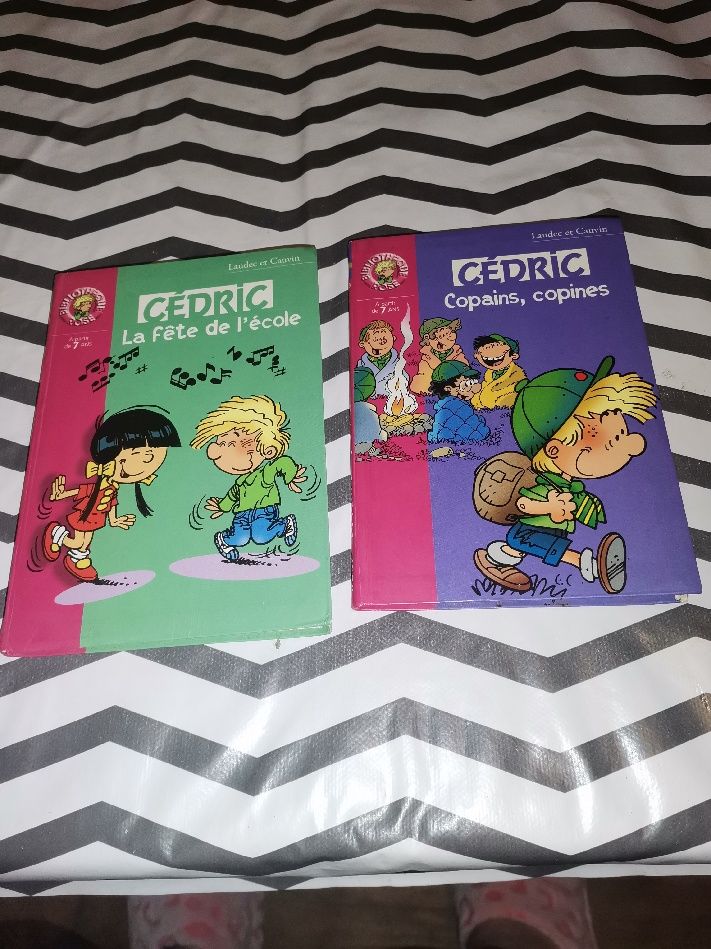 CEDRIC 1 Asnans-Beauvoisin (39)