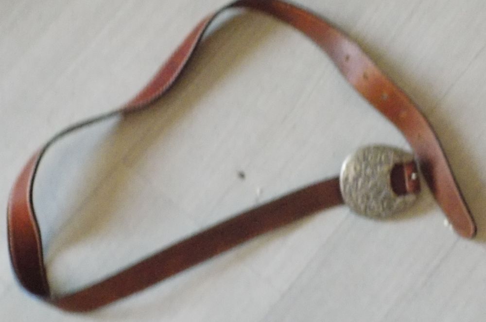 Ceinture marron 3 La Motte-d'Aveillans (38)