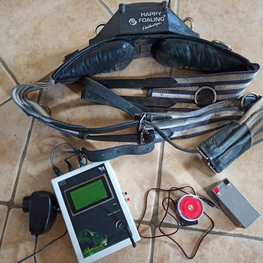 ceinture de poulinage 30 Argenton-sur-Creuse (36)