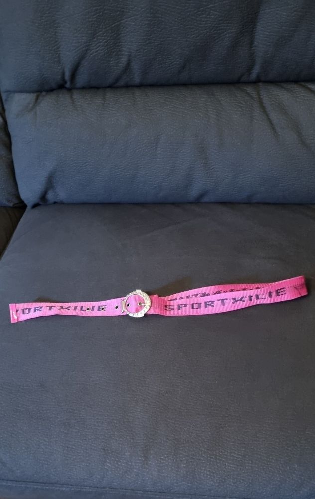 Ceinture rose 2 Aix-les-Bains (73)