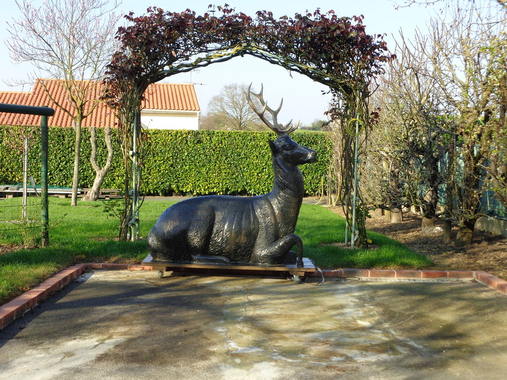 cerf, pour jardin,parc, rv de chasse,verriere.. 0 Le Pin-en-Mauges (49)