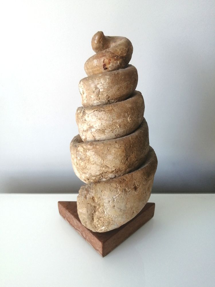 C�rithe g�ante, fossile d'escargot - 43 millions d'ann�es 370 Puteaux (92)